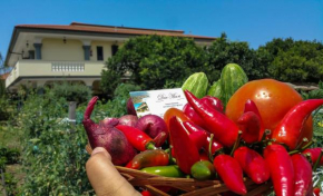 residenceduemari Capo Vaticano